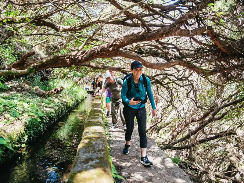 A narrow stone levada channel path through ferns and laurel forest on a Rabaçal Valley levada walk in Rabaçal, Madeira